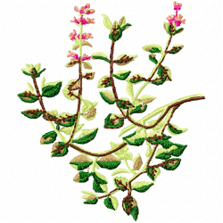 Plants Embroidery Design 11 Plants Embroidery Design 11